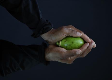 Woman holding a fruit.