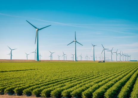 Windmills in field